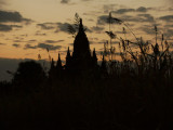 Temple sunset Bagan.jpg
