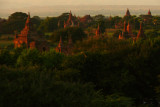 Fields of Bagan 20.jpg