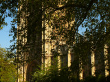 Hidden by foliage web.jpg