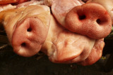 Pig snouts.jpg