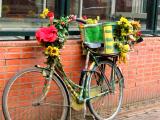 Flower Power bike