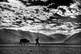 Ladakh & Zanskar (B&W)