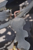 LE PORTAIL GRILLAGE DE LORANGERIE : DETAILS