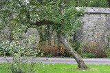 ABBAYE DE MAREDSOUS