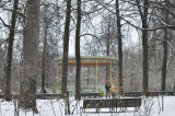 BRUXELLES - BRUXELLES / LE PARC ROYAL