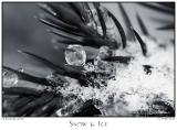 15Jan06 Snow and  Ice (b/w) - 9783