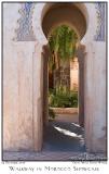 Walkway in Morocco Showcase - 8336 04Dec05