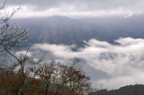 _DSC4744.jpg