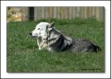 IMG_9308-01