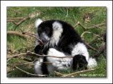 IMG_9372-01