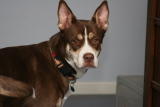 Lexie_2006Feb-001.jpg