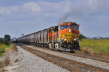 BNSF 4894 East