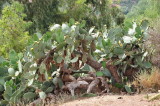 05 Atlas Toubkal Imlil 004.JPG