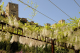 Alhambra, Granada