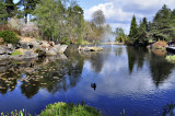 Van Dusen Gardens