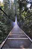 Lynn Canyon