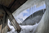 Rogers Pass