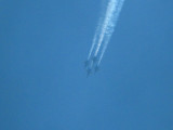 Cape Air Festival 2010 048.jpg