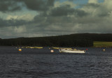 Llyn Brenig North Wales