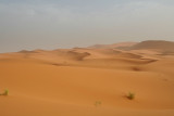 Sahara7.jpg