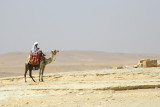 Camel man