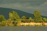Paysage