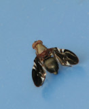 Delphinia picta