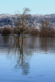 flood on Planinsko polje