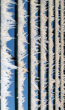 Frost on the fence (IMG_8201okK copy.jpg)