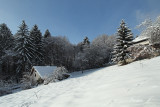 Winter scene (IMG_2229ok copy.jpg)