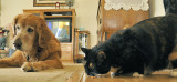 The Two Of Them