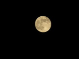 Harvest Moon_9-30-2012 134.JPG