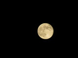 Harvest Moon_9-30-2012 139.JPG