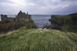 DSC_4929-2.jpg