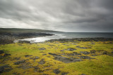 DSC_6409.jpg