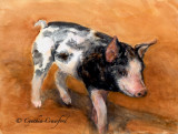 Piglet by C.J. Crawford
