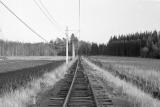 crop0036.jpg