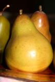 Pears