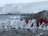 Port Lockroy ~ Whale Bones