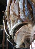 Dried Fish