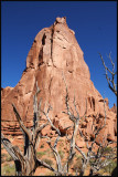IMG_5012_edited-2.jpg