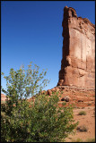 IMG_5028_edited-2.jpg