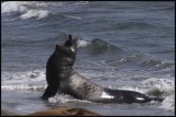 IMG_5356_edited-2.jpg