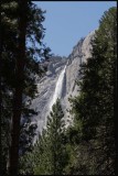 IMG_5408_edited-2.jpg