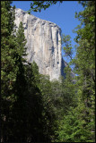 IMG_5416_edited-2.jpg