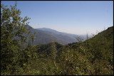 IMG_5444_edited-2.jpg