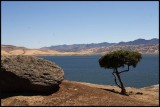 IMG_5372_edited-2.jpg
