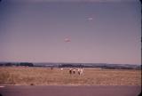 Hillsboro Airshow 1961