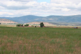Looking-South.