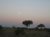 Moon Ascending Over the Delta